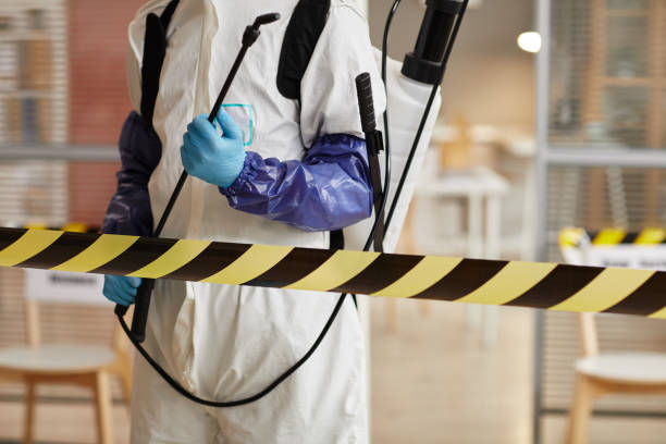 Professional Sewage Cleanup technician working in Kearney, MO